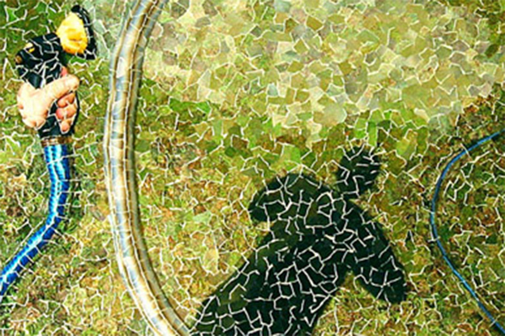Backyard Collage